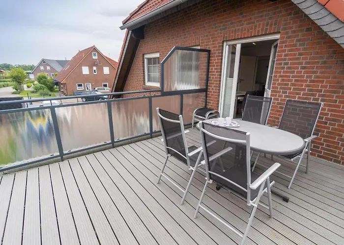 Austernfischer 贝塞尔