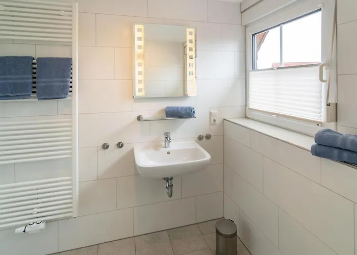 Austernfischer 贝塞尔